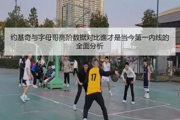 约基奇与字母哥高阶数据对比谁才是当今第一内线的全面分析